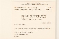 白頂飛蓬藏品圖，第2張