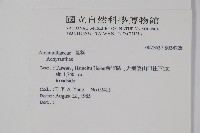 登錄號:S034728藏品圖，第2張