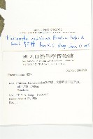 青牛膽藏品圖，第2張