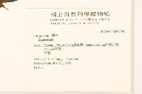 登錄號:S034738藏品圖，第2張