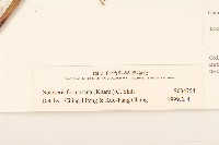 登錄號:S034753藏品圖，第3張