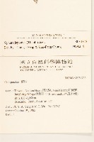 黃花三七草藏品圖，第2張