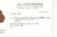 蘭嶼木耳菜藏品圖，第2張