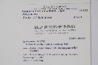 大錦蘭藏品圖，第2張