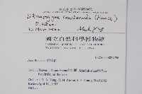 哈哼花藏品圖，第2張