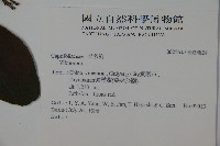 登錄號:S034824藏品圖，第2張
