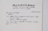 登錄號:S034838藏品圖，第2張