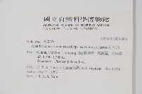 刺五加藏品圖，第2張