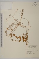 登錄號:S034854藏品圖，第1張