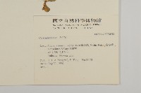 登錄號:S034854藏品圖，第2張