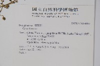 登錄號:S034880藏品圖，第2張