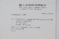 登錄號:S034892藏品圖，第2張