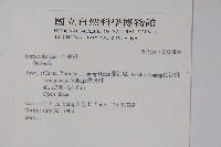 粉葉小檗藏品圖，第2張