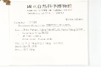 水芥菜、豆瓣菜、無心菜、水甕菜藏品圖，第2張