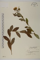 登錄號:S034914藏品圖，第1張