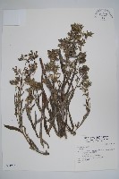 登錄號:S034925藏品圖，第1張