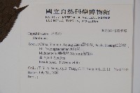 登錄號:S034942藏品圖，第2張