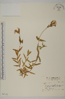 登錄號:S034945藏品圖，第1張