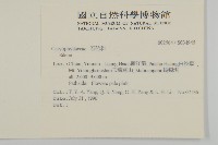 登錄號:S034945藏品圖，第2張