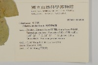 南華南蛇藤，青江藤藏品圖，第2張