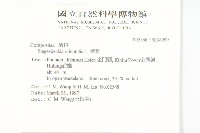 豨薟藏品圖，第2張