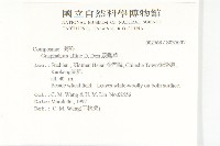 鼠麴草藏品圖，第2張