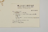 藜、灰藜藏品圖，第2張