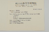 南蛇藤藏品圖，第2張