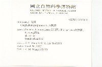 鼠麴舅藏品圖，第2張