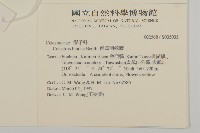 南華南蛇藤，青江藤藏品圖，第2張