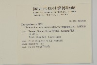 變葉藜、毛綠珠藜藏品圖，第2張