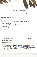 軟毛柿藏品圖，第2張