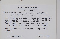 登錄號:S035065藏品圖，第2張