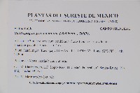 登錄號:S035075藏品圖，第2張