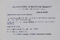 中國勿忘草藏品圖，第2張