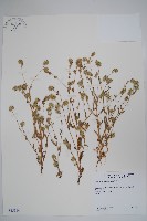 登錄號:S035114藏品圖，第1張