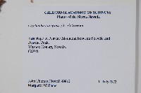 登錄號:S035114藏品圖，第2張