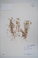 登錄號:S035115藏品圖，第1張