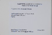 登錄號:S035115藏品圖，第2張