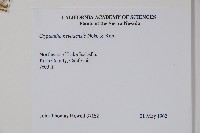 登錄號:S035116藏品圖，第2張