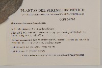 登錄號:S035131藏品圖，第2張