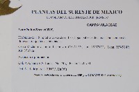 登錄號:S035147藏品圖，第2張