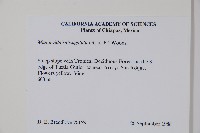 登錄號:S035152藏品圖，第2張