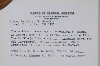 登錄號:S035175藏品圖，第2張