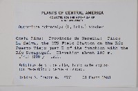 登錄號:S035222藏品圖，第2張