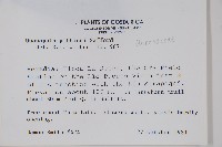 登錄號:S035229藏品圖，第2張