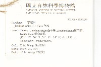 葶藶藏品圖，第2張