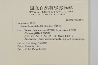 毛將軍藏品圖，第2張