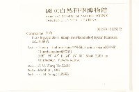 玉山毛蓮菜藏品圖，第2張