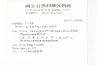 山葵藏品圖，第2張